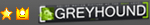 Gerygrey