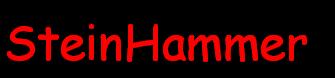 SteinHammer