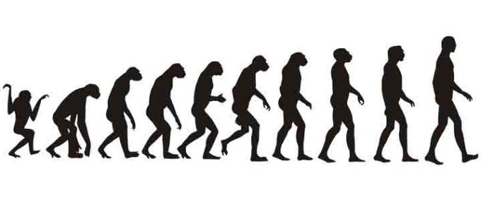 Az amerikaiak harmada nem hisz az evolúcióban