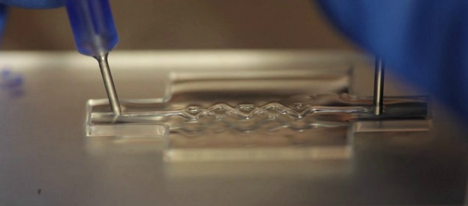 Emberi szövetek 3D nyomtatással