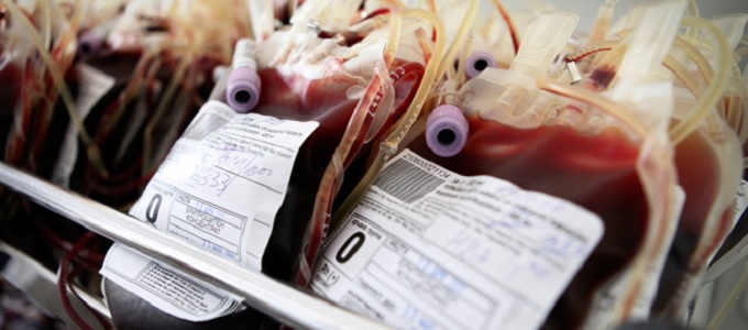 Indulhat az õssejtekbõl készült vér tesztelése