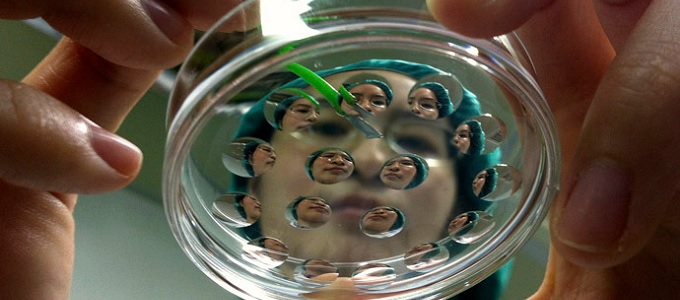 Klón-embriókat állítottak elõ felnõttek õssejtjeibõl