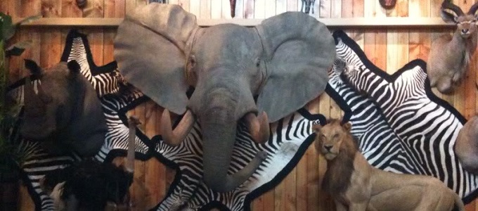 Az emberi érdekek áldozata a konzerváció