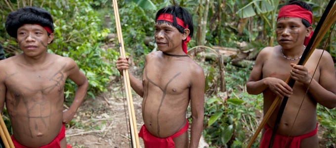 Influenzával fertõzték meg az esõerdõbõl kimerészkedõ törzset