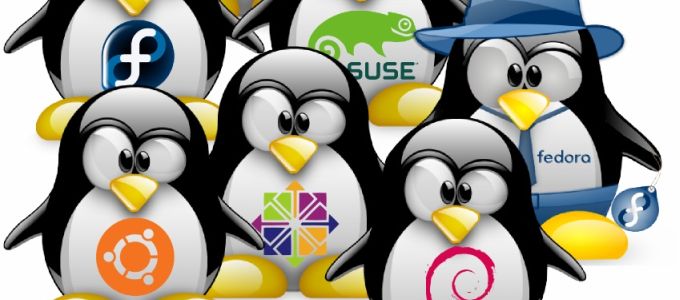 Visszatért a Windows 7-hez a német külügyminisztérium