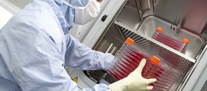 Sok a hamis õssejt terápia az interneten