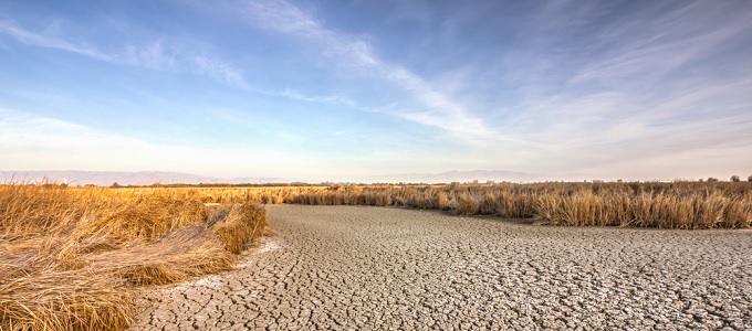 Megaaszály jöhet az USA-ban