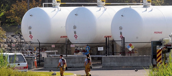Bélbaktériummal termelnének üzemanyagot