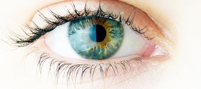 Indul az õssejtek emberi tesztelése