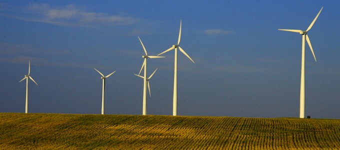 Módosított szél­tur­binákkal a denevérek védelmében