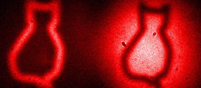 Kvantum fotó összefonódott fotonokból