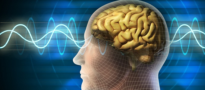 Lehallgatja belsõ hangunkat egy dekóder