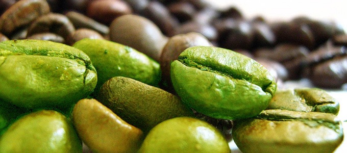 Csalnak a növényi kivonatokkal