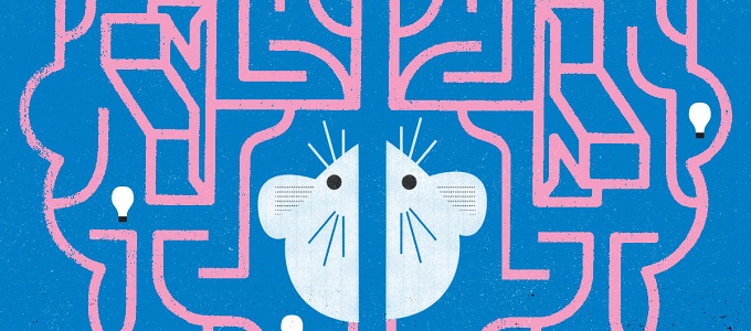 Új emlékek ültethetõk be alvás közben