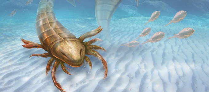 Emberméretû tengeri skorpiót találtak