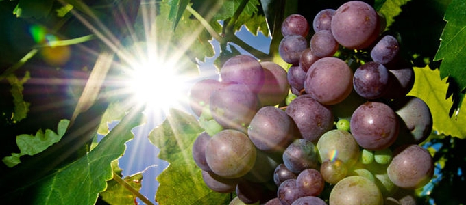 2016-tól jönnek az elsõ okosborok