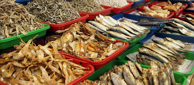 Mûanyag a táplálékláncban