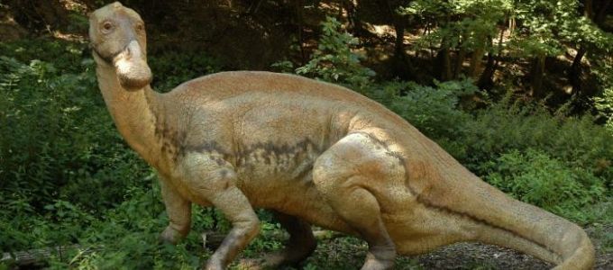 Részletes kutatás tárta fel egy dinoszauruszfaj élettörténetét