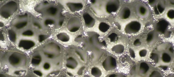 Habból készülhet mûszív