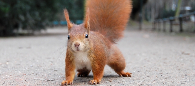 Kik a legnagyobb kiberbûnözõk?