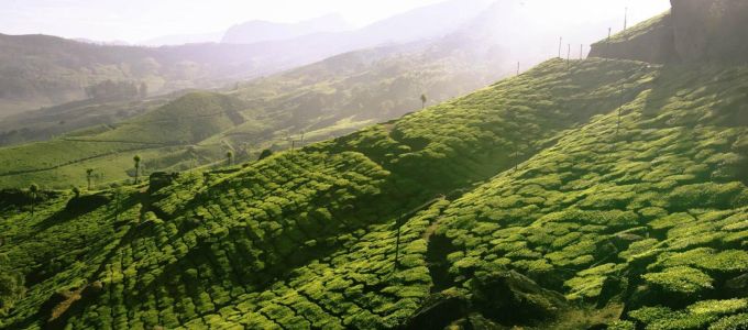 A korai földmûvelés valószínûleg késleltette a globális lehûlést