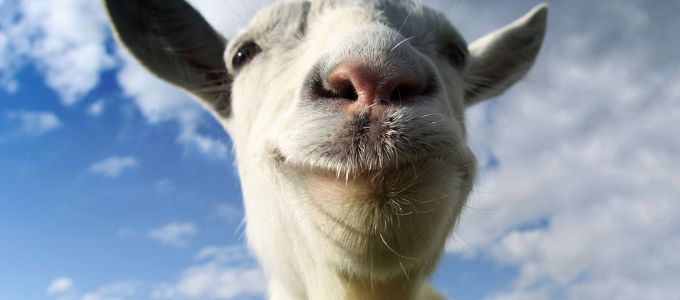 Ûrbe visz a Goat Simulator