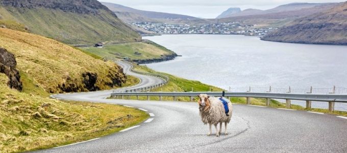 Birkákkal készítenek Google utcaképeket a Feröer-szigeteken