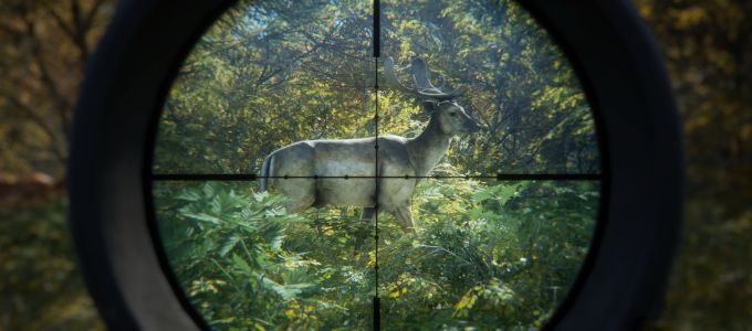 Friss trailert kapott a theHunter: Call of the Wild