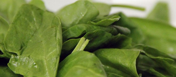 Bombakeresés spenóttal