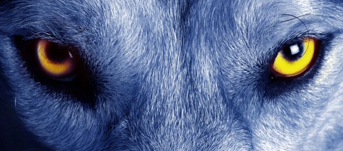 Új trailert kapott a Werewolf: The Apocalypse