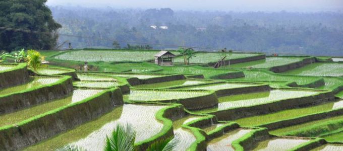 Elfogy a víz, annyit eszünk