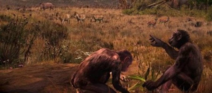 Európából származhat az ember