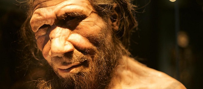 Több van bennünk a neander­völgyiekbõl
