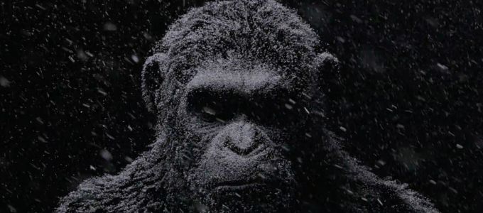 Felejthetõ kalandot kínálnak a majmok