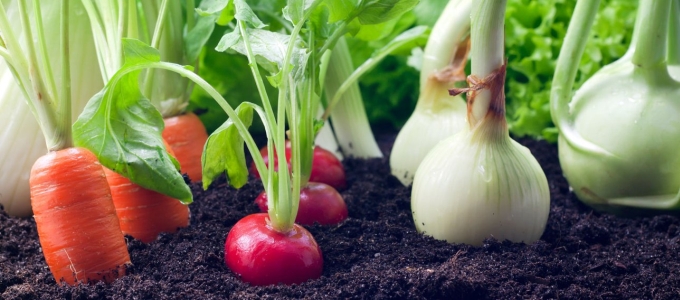 A kerteket is felügyelné az Amazon