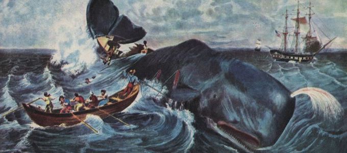 Már kétezer éve zajlik az ipari bálnavadászat
