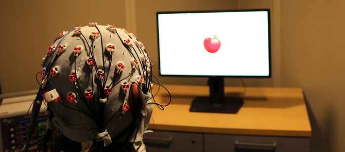 Agyi stimulációval sikerült "megfiatalítani" a memóriát