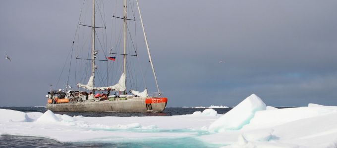Csaknem 200 ezer tengeri vírust azonosítottak