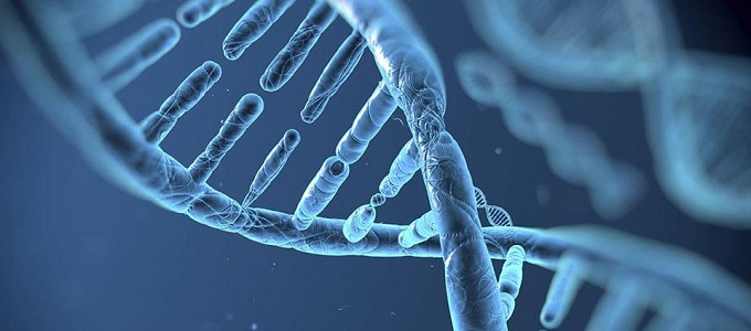 Tévedett Darwin az élet kialakulásáról