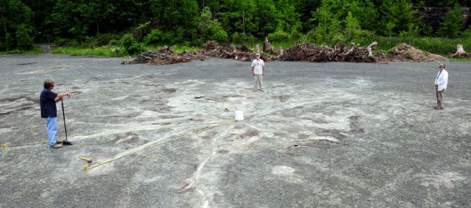 Egy elhagyatott amerikai kõfejtõnél fedezték fel a világ legöregebb erdejét