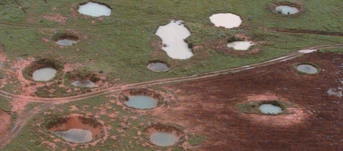 A kambodzsai aknamentesítésben segít a mesterséges intelligencia