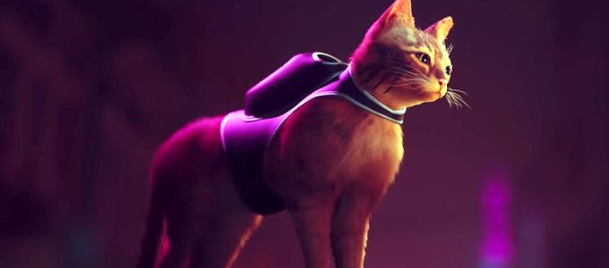 Macska kaland a Stray