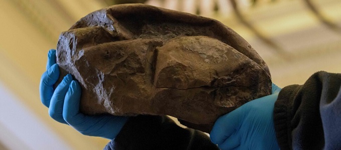 Dínótojás a furcsa antarktiszi lelet