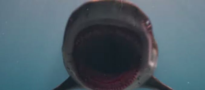 Deep Blue See 3: itt a plakát