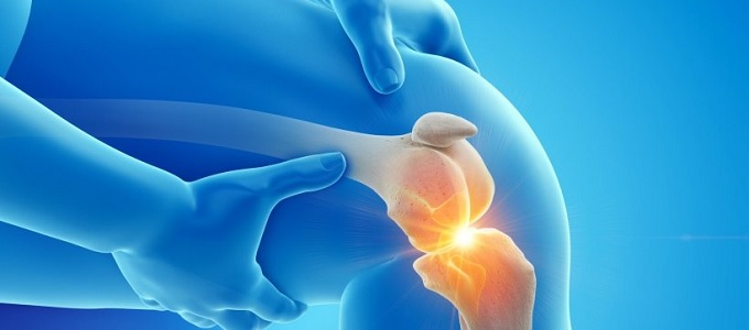 Porcot építettek a Nemzetközi Ûrállomáson