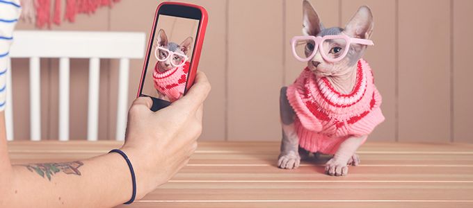 Növelheti a kreativitást a közösségi média