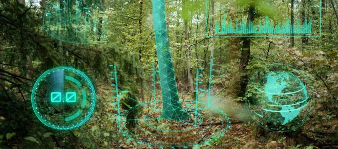 Az erdõk védelmében is segíthet a mesterséges intelligencia