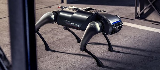 Robotkutyát fejlesztett a Xiaomi