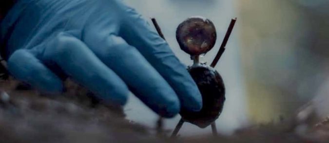 Nemsokára láthatjuk A gesztenyeembert