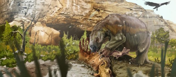 Új dinoszauruszt azonosítottak be